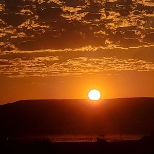 Meet your Posher, Kalia